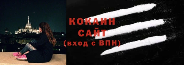 спайс Алексин