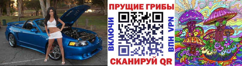 Псилоцибиновые грибы прущие грибы  продажа наркотиков  Большой Камень 