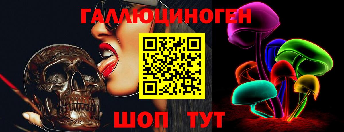 Большой Камень  Псилоцибиновые грибы Psilocybine cubensis  Вход с VPN  купить   Галлюциногенные грибы Magic Shrooms 