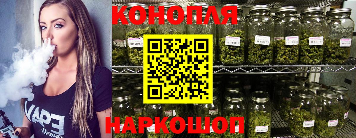 Шишки марихуана сатива Большой Камень